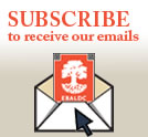 Email Sign Up