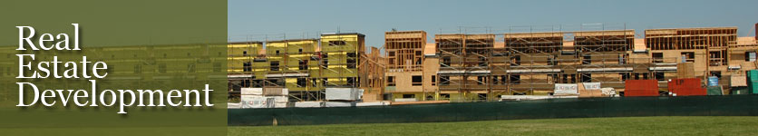 Real Estate Development